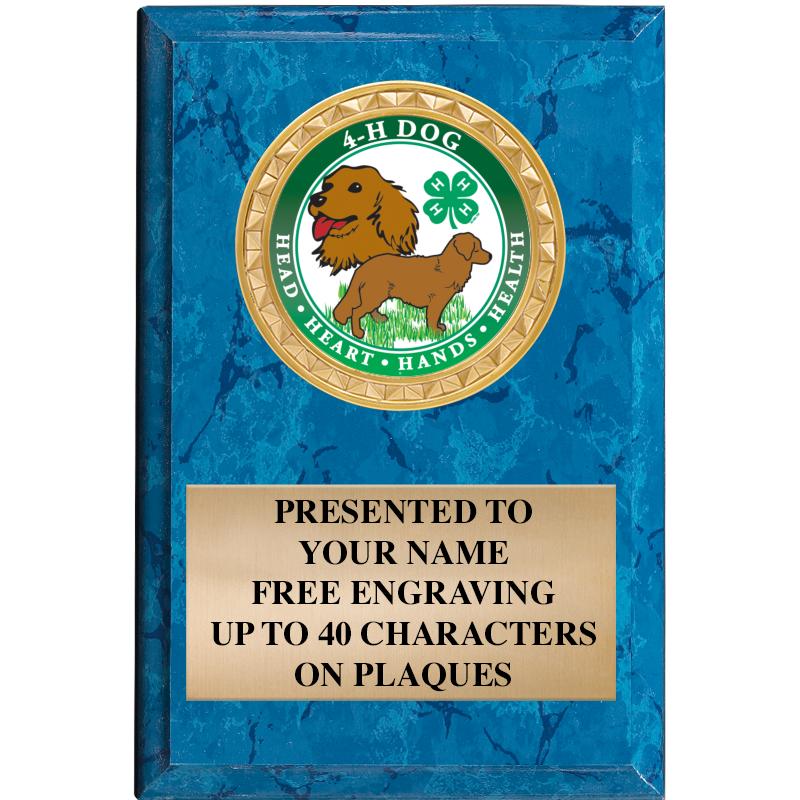 4" X 6" BLUE MBL INSERT PLQ