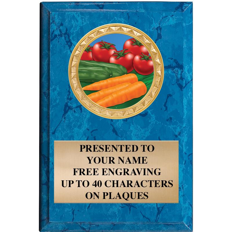 4" X 6" BLUE MBL INSERT PLQ