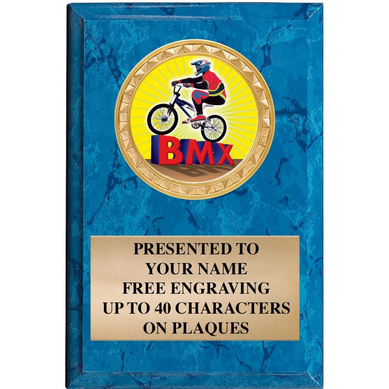 4" X 6" BLUE MBL INSERT PLQ