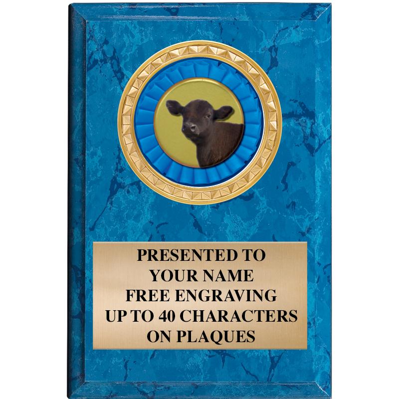 4" X 6" BLUE MBL INSERT PLQ