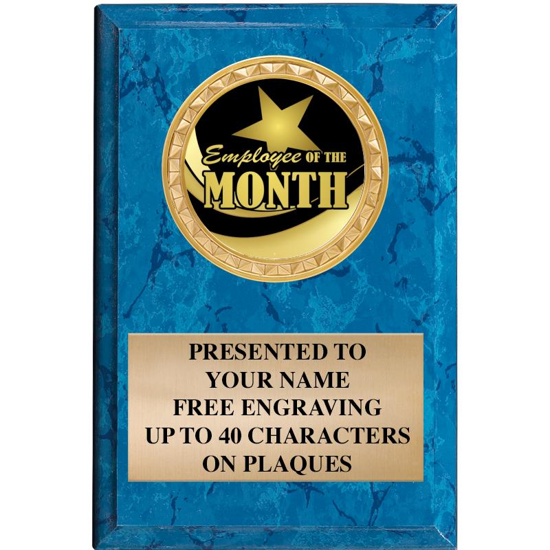 4" X 6" BLUE MBL INSERT PLQ