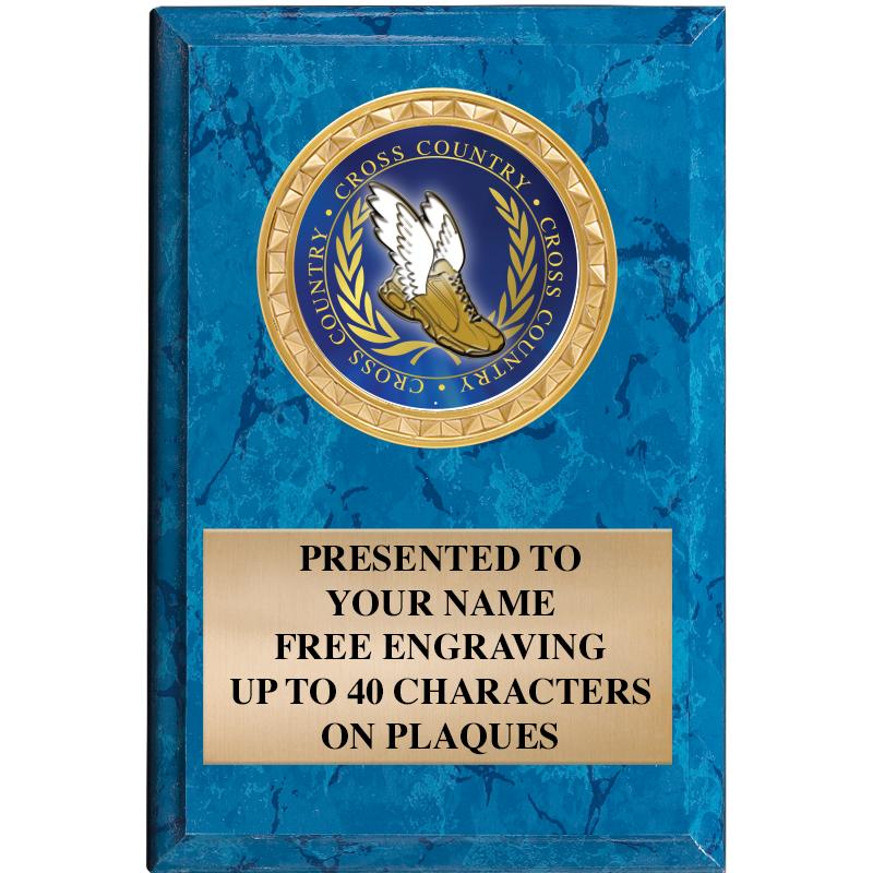 4" X 6" BLUE MBL INSERT PLQ