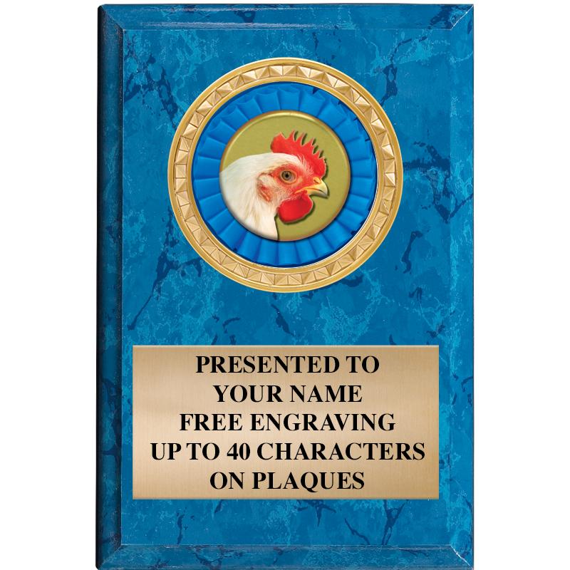 4" X 6" BLUE MBL INSERT PLQ