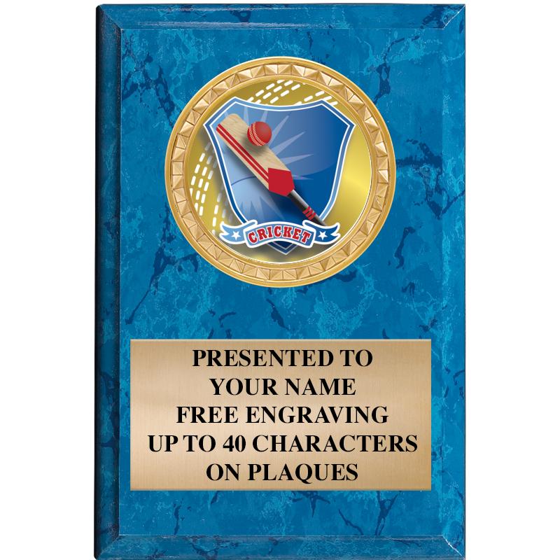 4" X 6" BLUE MBL INSERT PLQ