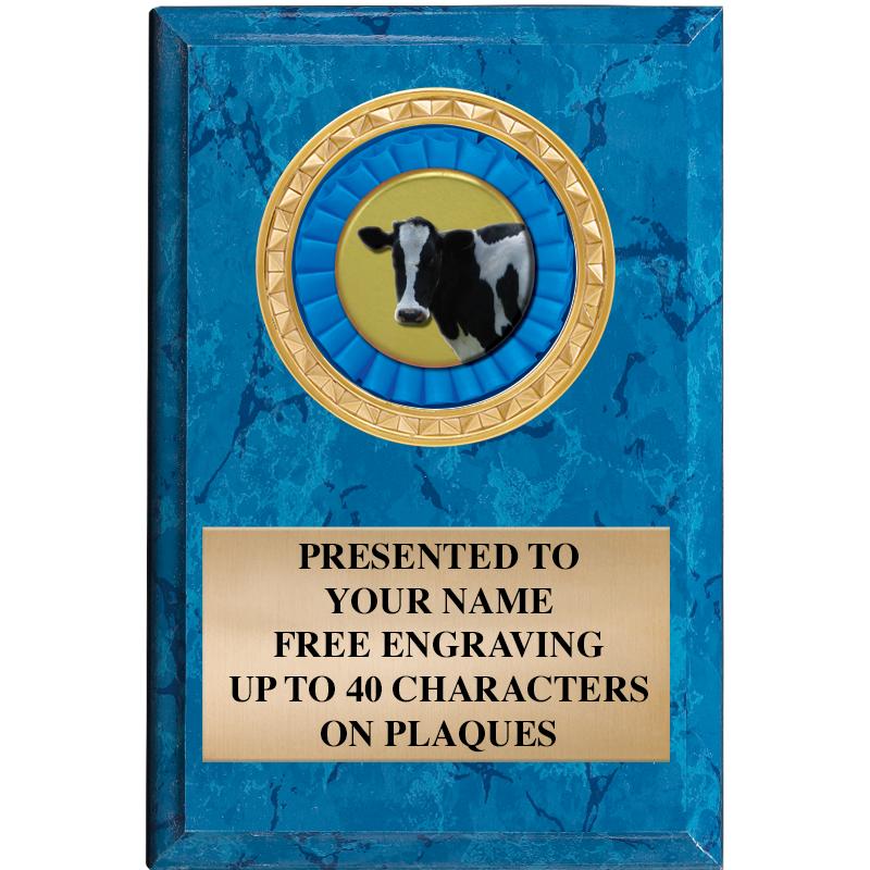 4" X 6" BLUE MBL INSERT PLQ