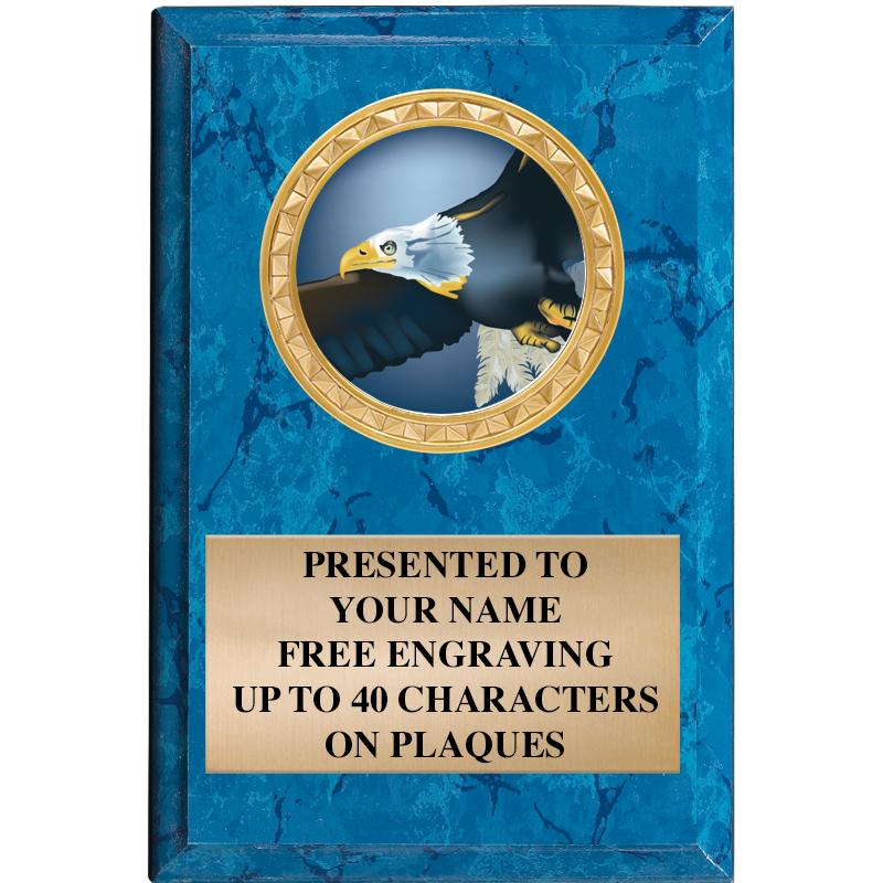 4" X 6" BLUE MBL INSERT PLQ