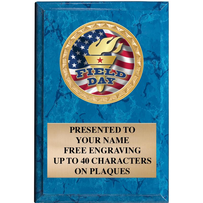 4" X 6" BLUE MBL INSERT PLQ