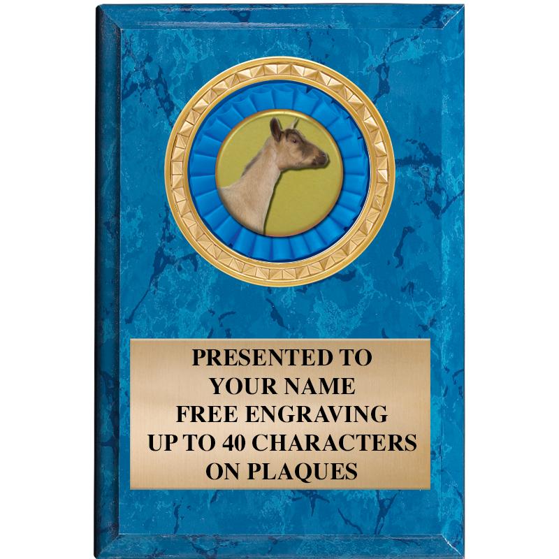 4" X 6" BLUE MBL INSERT PLQ