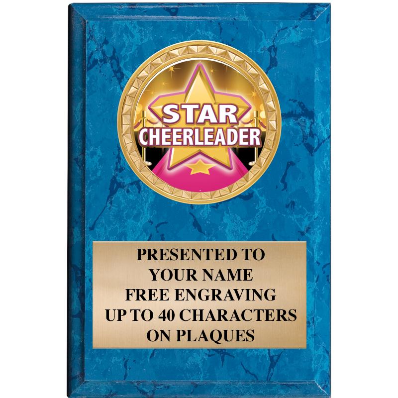 4" X 6" BLUE MBL INSERT PLQ