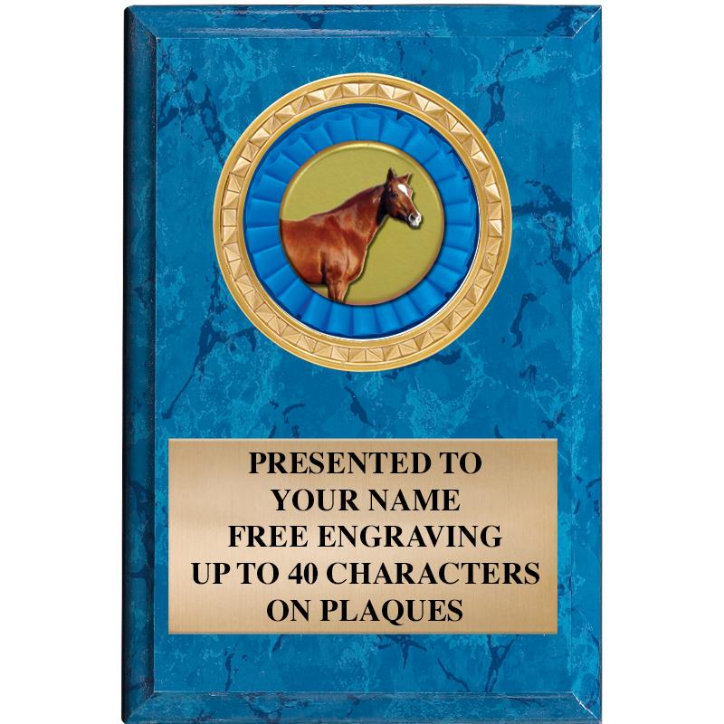 4" X 6" BLUE MBL INSERT PLQ