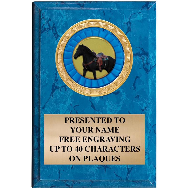 4" X 6" BLUE MBL INSERT PLQ