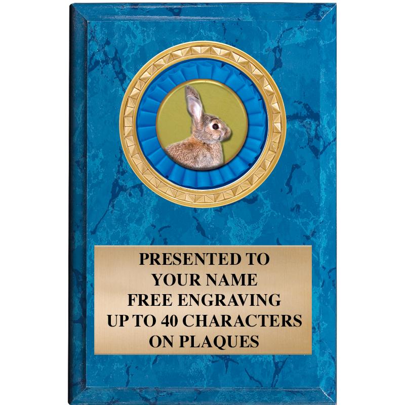 4" X 6" BLUE MBL INSERT PLQ