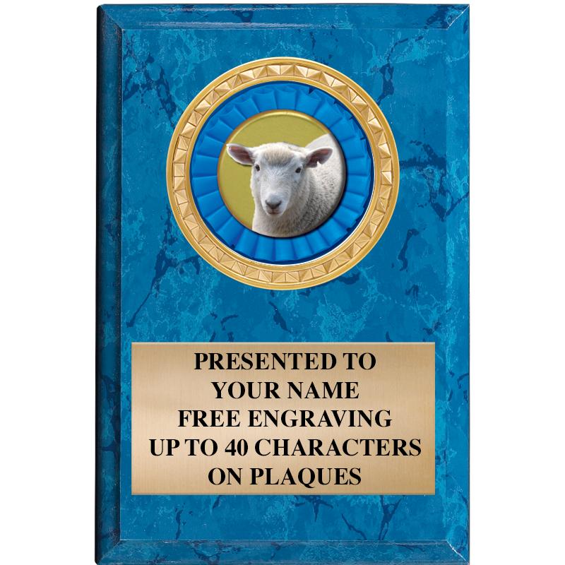 4" X 6" BLUE MBL INSERT PLQ