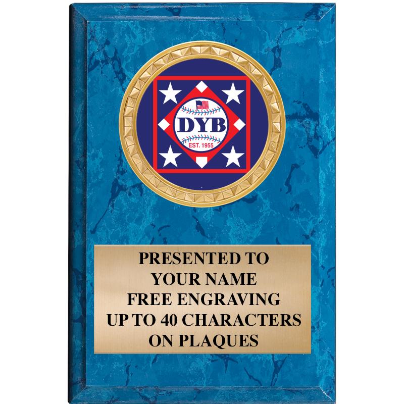 4" X 6" BLUE MBL INSERT PLQ