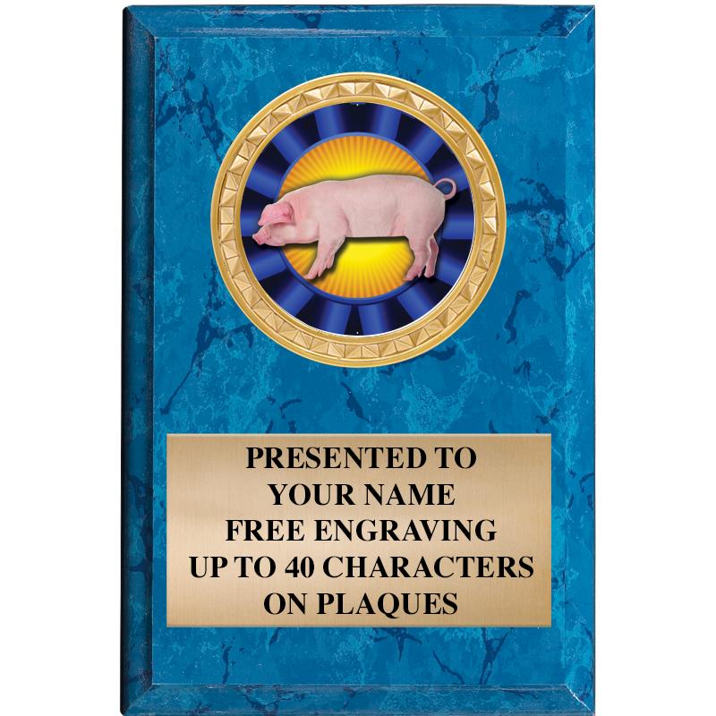 4" X 6" BLUE MBL INSERT PLQ