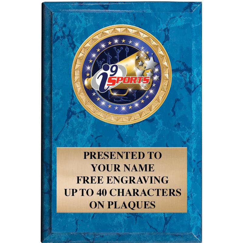 4" X 6" BLUE MBL INSERT PLQ