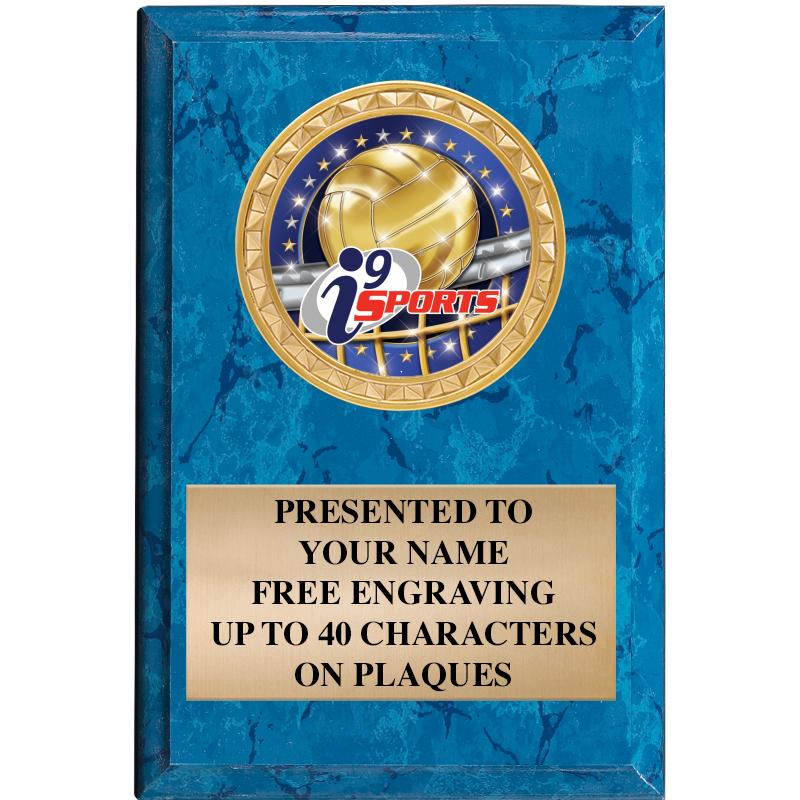 4" X 6" BLUE MBL INSERT PLQ