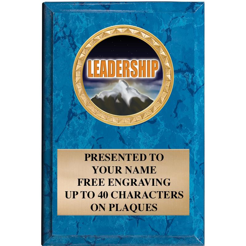 4" X 6" BLUE MBL INSERT PLQ