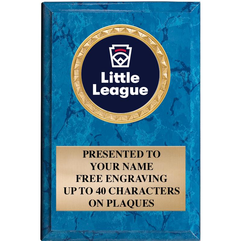 4" X 6" BLUE MBL INSERT PLQ