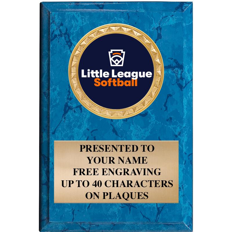 4" X 6" BLUE MBL INSERT PLQ