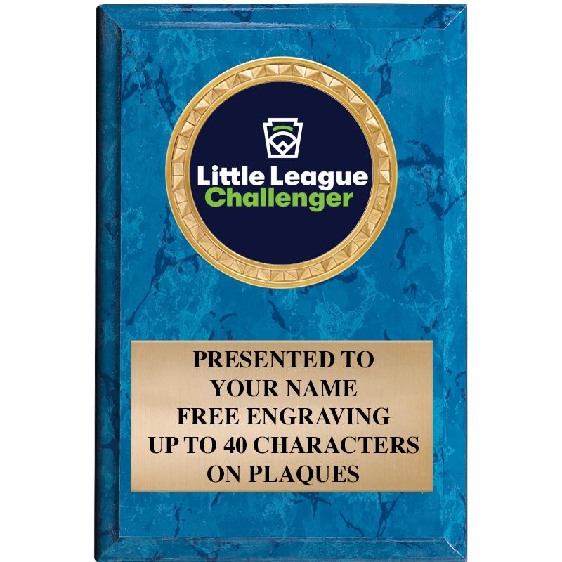 4" X 6" BLUE MBL INSERT PLQ