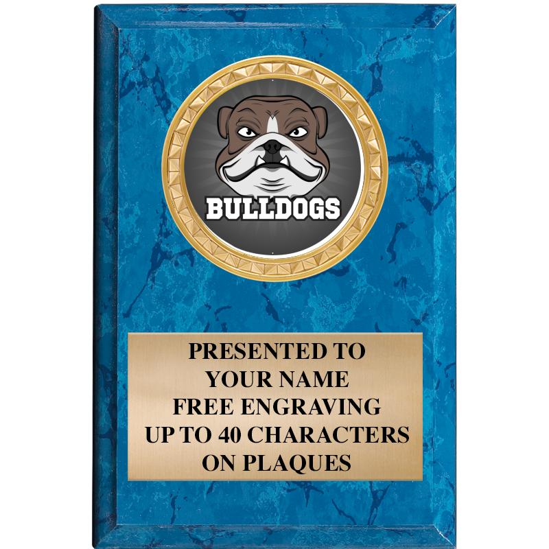 4" X 6" BLUE MBL INSERT PLQ