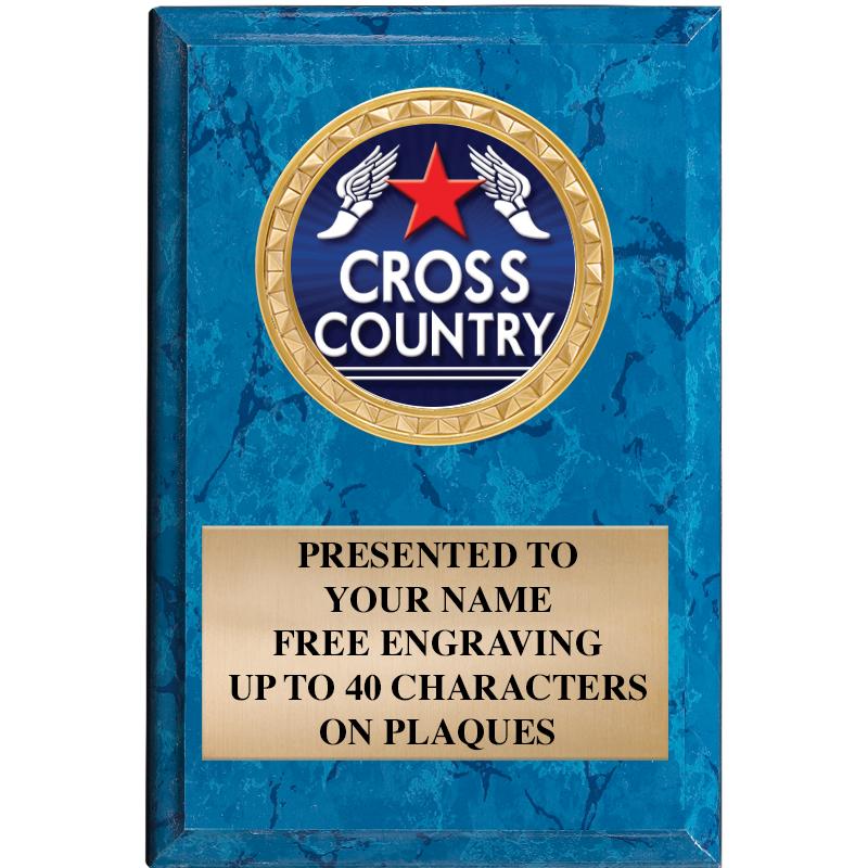 4" X 6" BLUE MBL INSERT PLQ