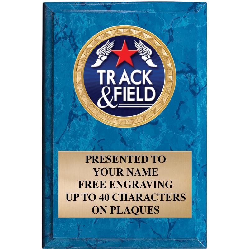 4" X 6" BLUE MBL INSERT PLQ