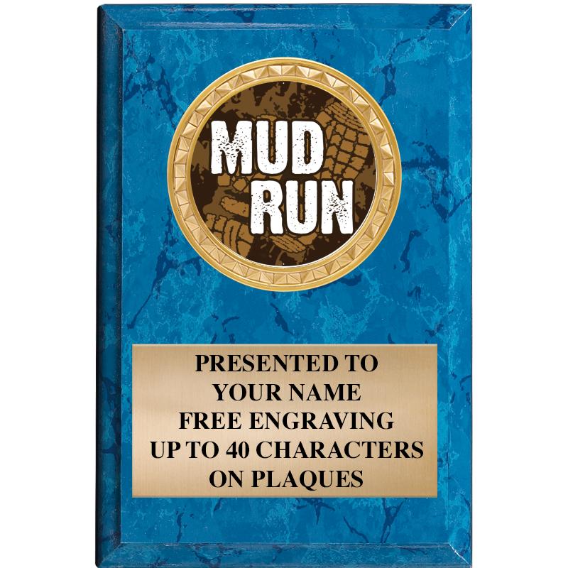 4" X 6" BLUE MBL INSERT PLQ