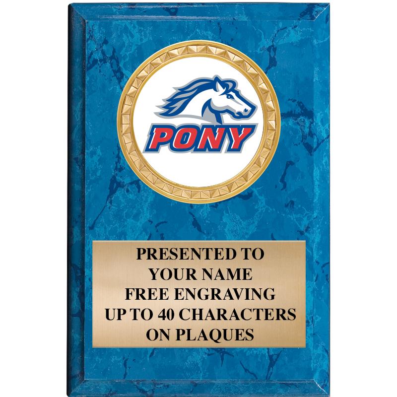 4" X 6" BLUE MBL INSERT PLQ