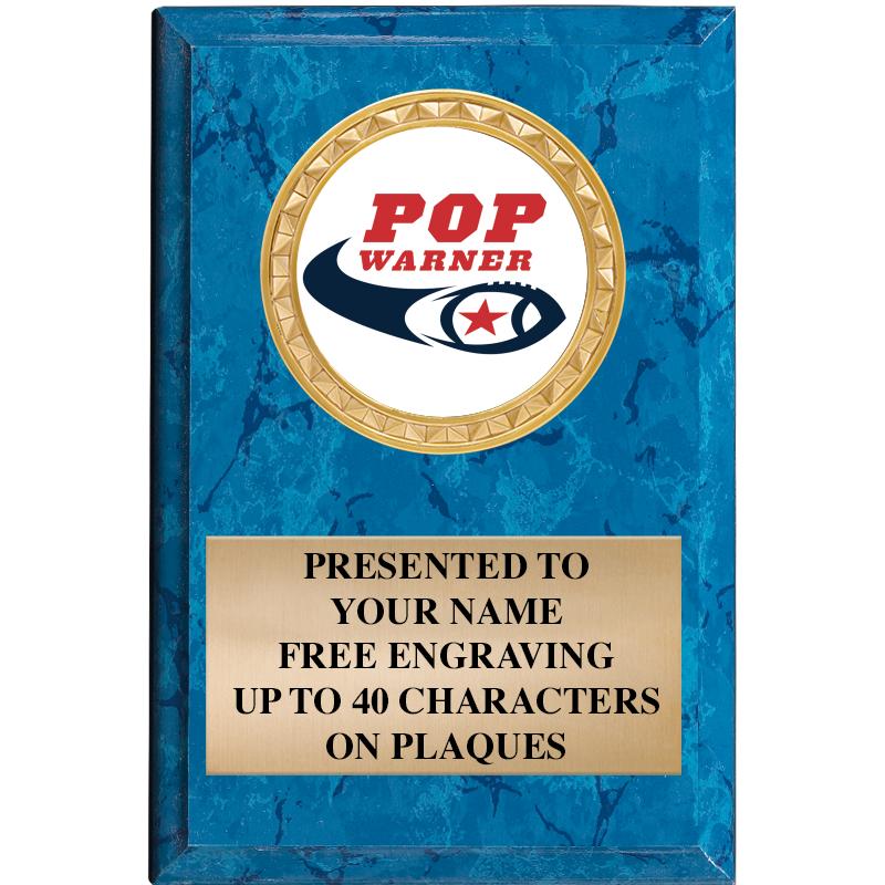 4" X 6" BLUE MBL INSERT PLQ