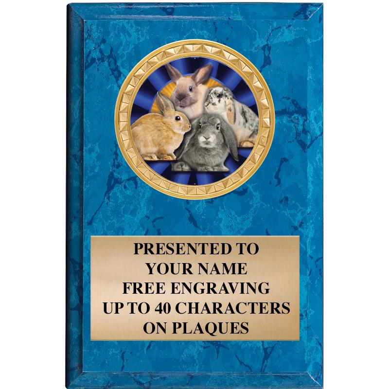 4" X 6" BLUE MBL INSERT PLQ