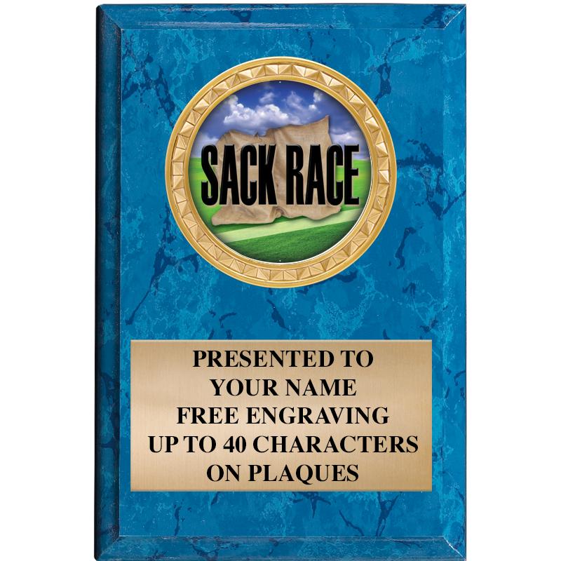 4" X 6" BLUE MBL INSERT PLQ