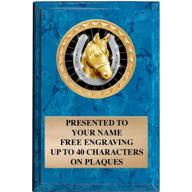 4" X 6" BLUE MBL INSERT PLQ