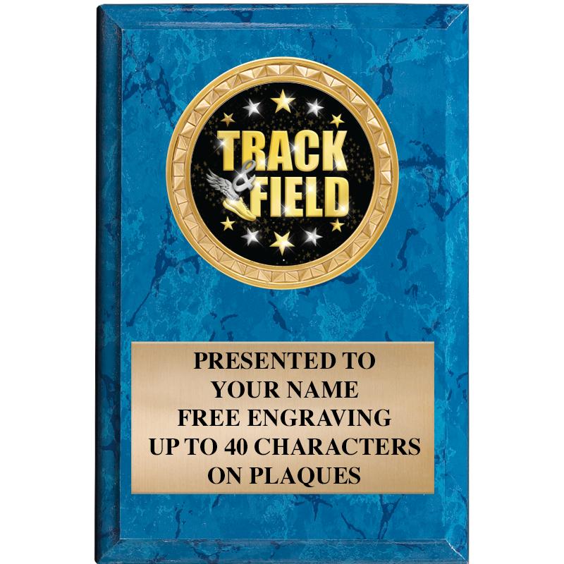 4" X 6" BLUE MBL INSERT PLQ