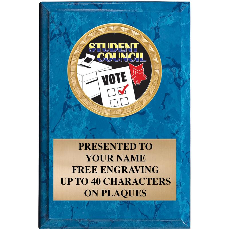 4" X 6" BLUE MBL INSERT PLQ