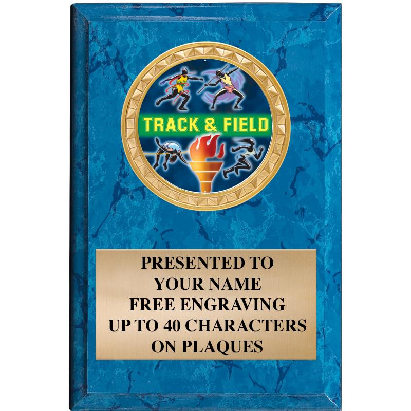 4" X 6" BLUE MBL INSERT PLQ