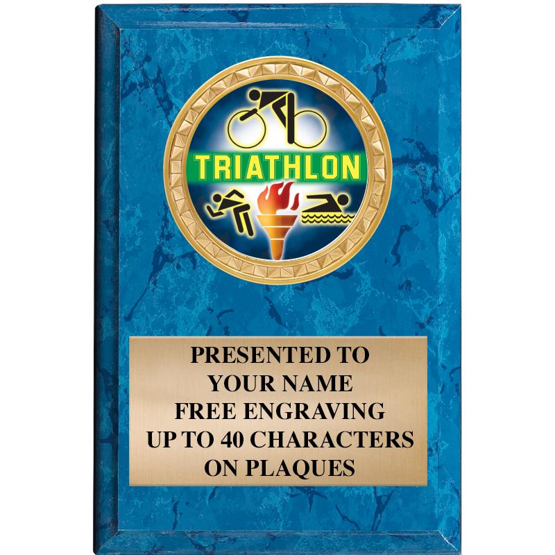 4" X 6" BLUE MBL INSERT PLQ