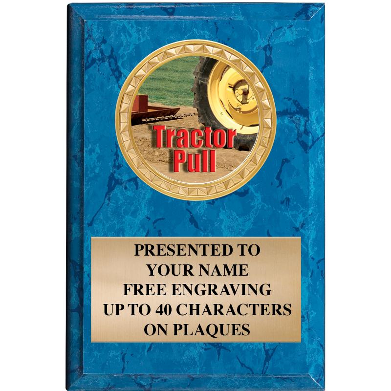 4" X 6" BLUE MBL INSERT PLQ