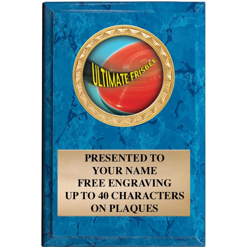 4" X 6" BLUE MBL INSERT PLQ