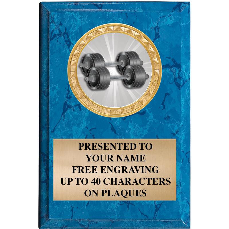 4" X 6" BLUE MBL INSERT PLQ