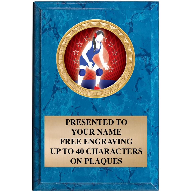 4" X 6" BLUE MBL INSERT PLQ