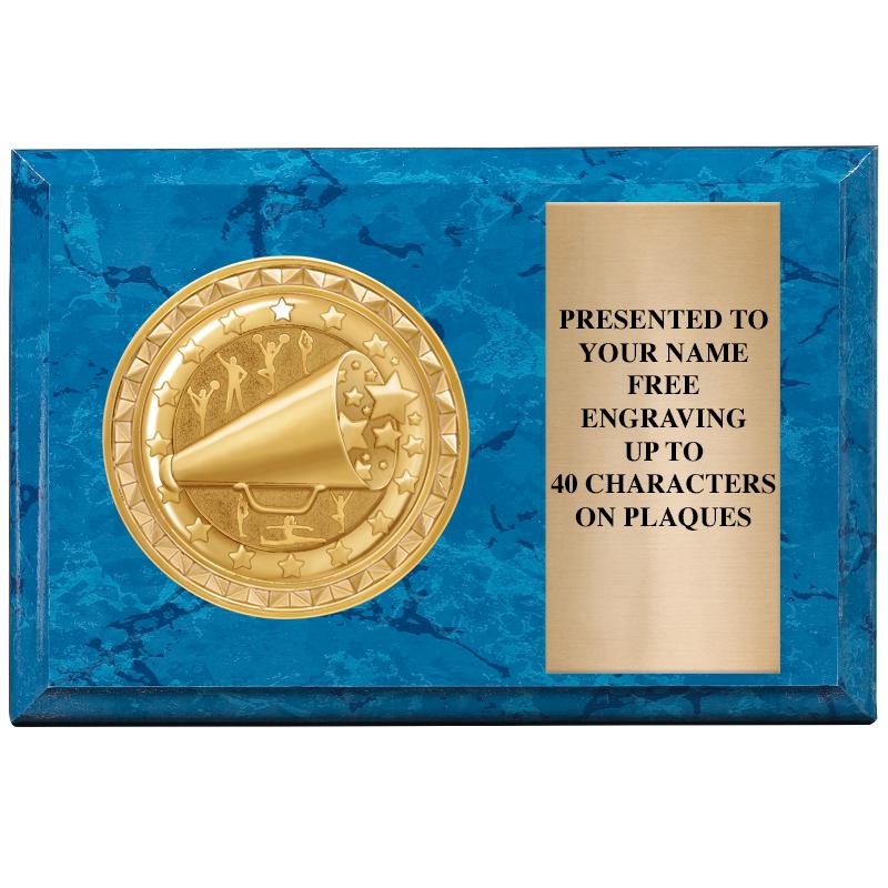 6" X 4" BLUE MBL INSERT PLQ