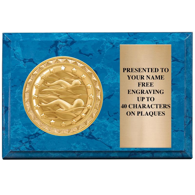 6" X 4" BLUE MBL INSERT PLQ