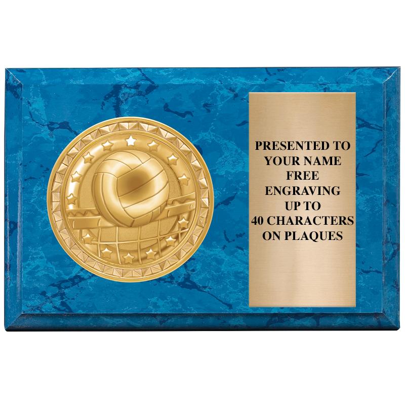 6" X 4" BLUE MBL INSERT PLQ