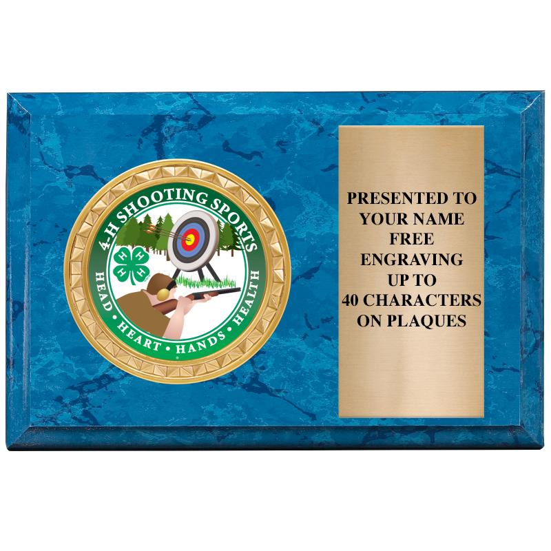 6" X 4" BLUE MBL INSERT PLQ