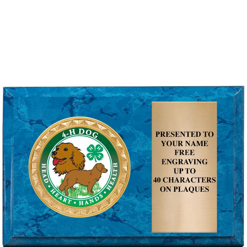 6" X 4" BLUE MBL INSERT PLQ