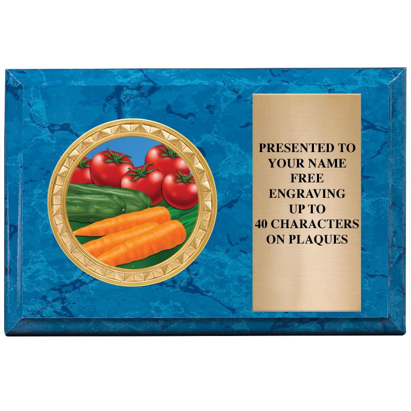 6" X 4" BLUE MBL INSERT PLQ