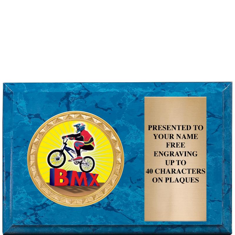 6" X 4" BLUE MBL INSERT PLQ