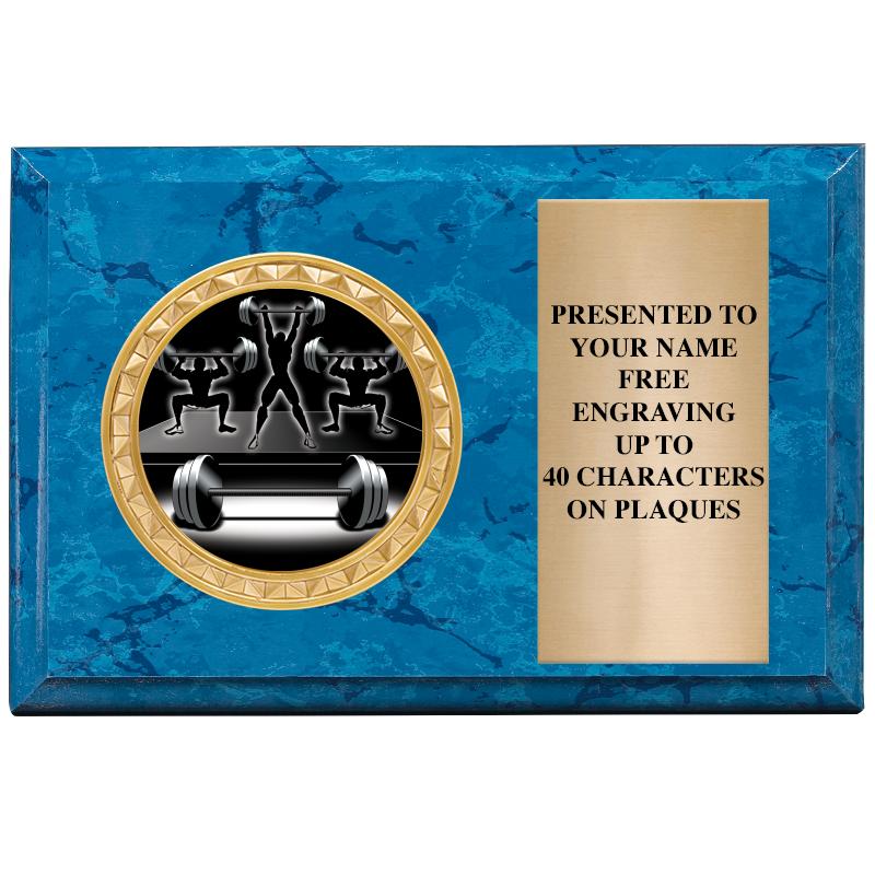 6" X 4" BLUE MBL INSERT PLQ